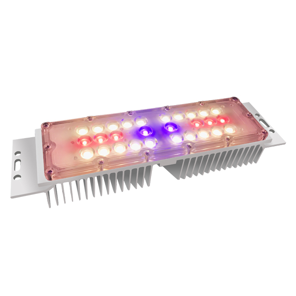 LED GROW LIGHT KIT